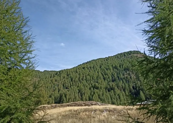 Aux Pieds Des Pistes